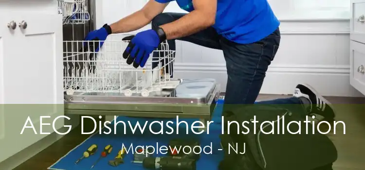 AEG Dishwasher Installation Maplewood - NJ
