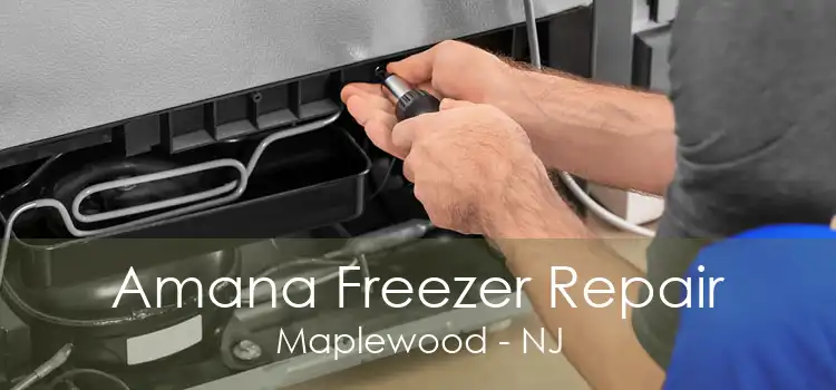 Amana Freezer Repair Maplewood - NJ