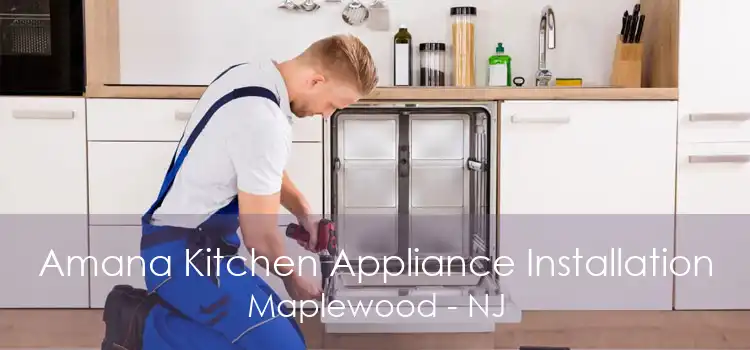 Amana Kitchen Appliance Installation Maplewood - NJ