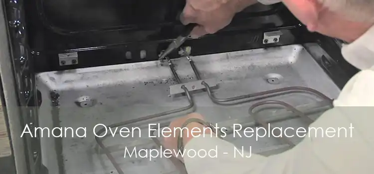 Amana Oven Elements Replacement Maplewood - NJ