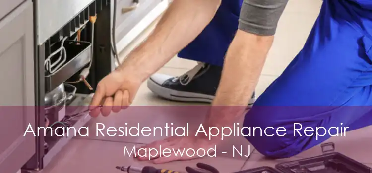 Amana Residential Appliance Repair Maplewood - NJ