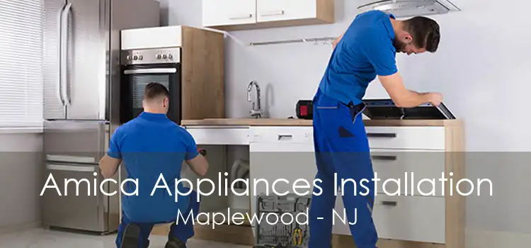 Amica Appliances Installation Maplewood - NJ
