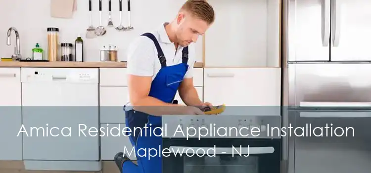 Amica Residential Appliance Installation Maplewood - NJ