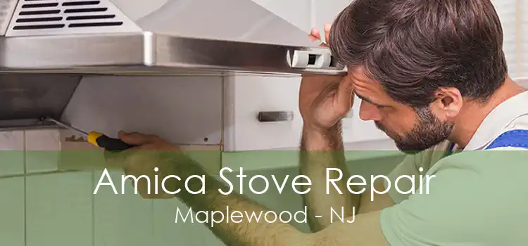 Amica Stove Repair Maplewood - NJ