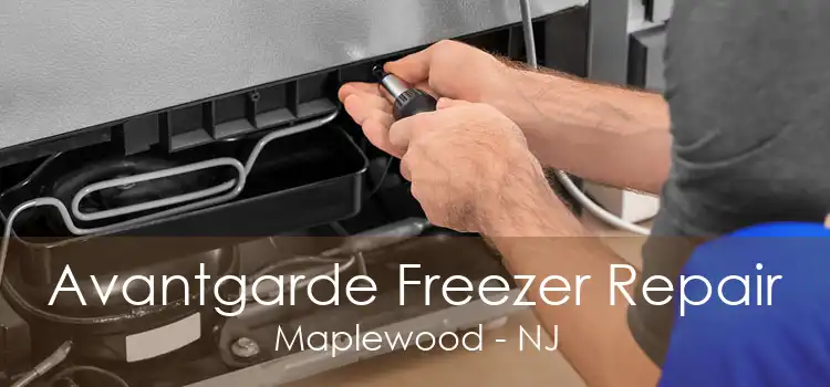 Avantgarde Freezer Repair Maplewood - NJ