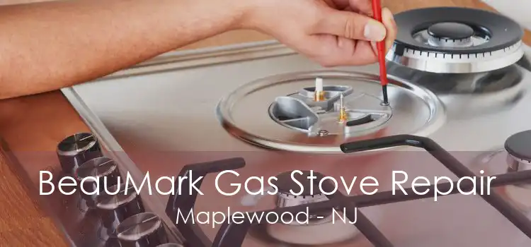 BeauMark Gas Stove Repair Maplewood - NJ