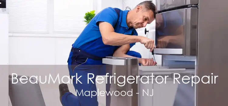 BeauMark Refrigerator Repair Maplewood - NJ