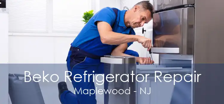 Beko Refrigerator Repair Maplewood - NJ