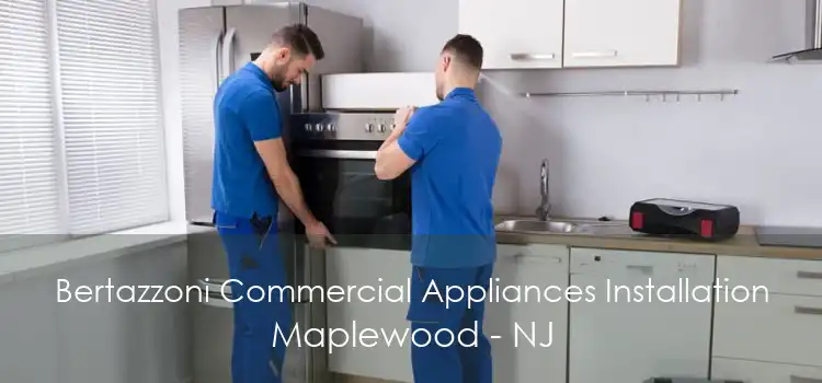 Bertazzoni Commercial Appliances Installation Maplewood - NJ