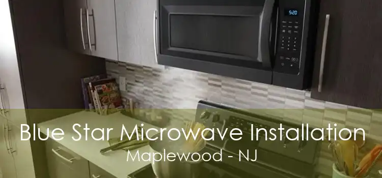 Blue Star Microwave Installation Maplewood - NJ