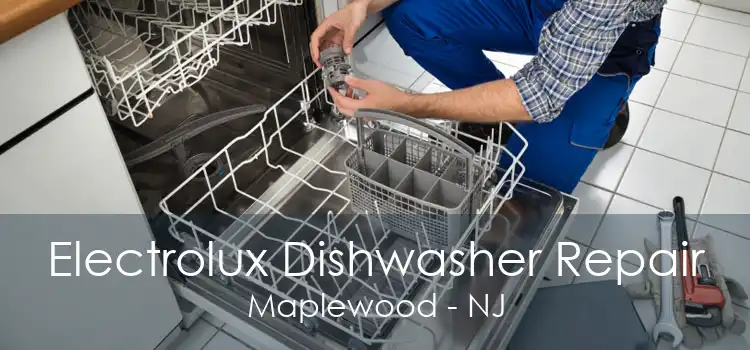 Electrolux Dishwasher Repair Maplewood - NJ