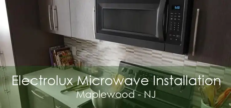Electrolux Microwave Installation Maplewood - NJ