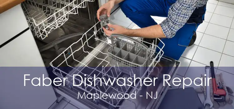 Faber Dishwasher Repair Maplewood - NJ
