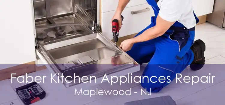 Faber Kitchen Appliances Repair Maplewood - NJ