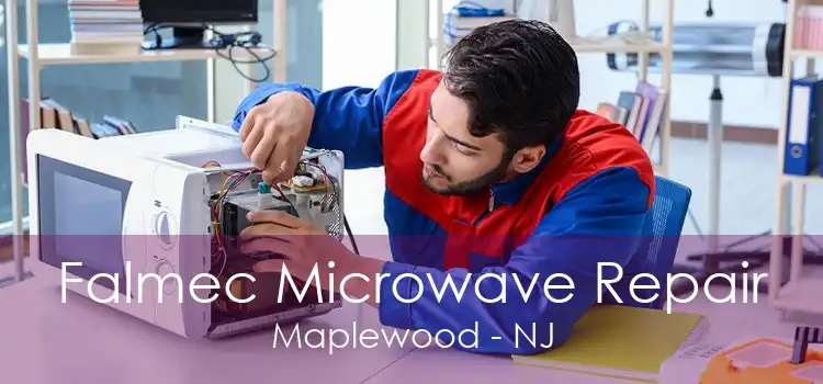 Falmec Microwave Repair Maplewood - NJ