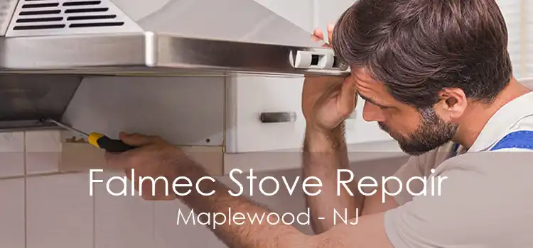 Falmec Stove Repair Maplewood - NJ