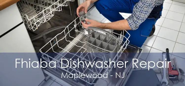 Fhiaba Dishwasher Repair Maplewood - NJ