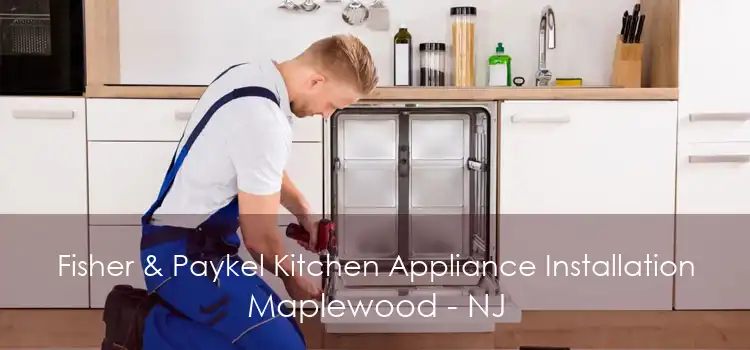 Fisher & Paykel Kitchen Appliance Installation Maplewood - NJ