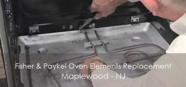 Fisher & Paykel Oven Elements Replacement Maplewood - NJ