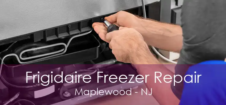 Frigidaire Freezer Repair Maplewood - NJ