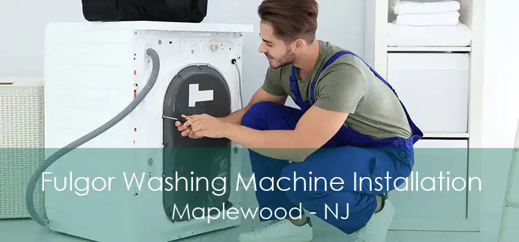 Fulgor Washing Machine Installation Maplewood - NJ