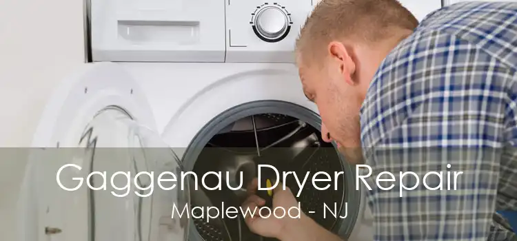 Gaggenau Dryer Repair Maplewood - NJ