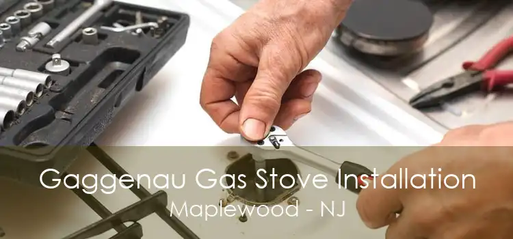 Gaggenau Gas Stove Installation Maplewood - NJ