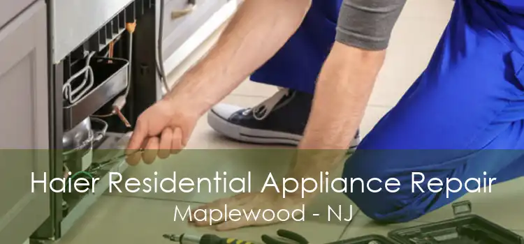 Haier Residential Appliance Repair Maplewood - NJ