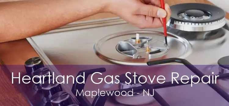 Heartland Gas Stove Repair Maplewood - NJ