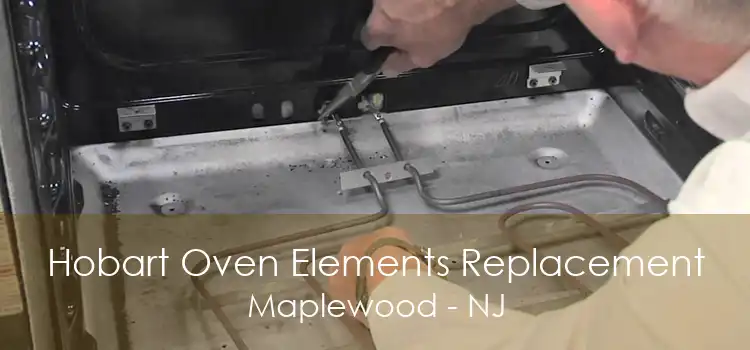 Hobart Oven Elements Replacement Maplewood - NJ