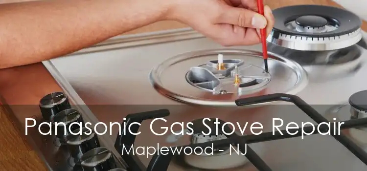 Panasonic Gas Stove Repair Maplewood - NJ