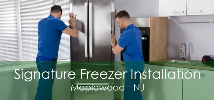 Signature Freezer Installation Maplewood - NJ