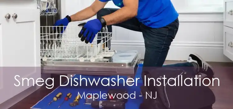 Smeg Dishwasher Installation Maplewood - NJ
