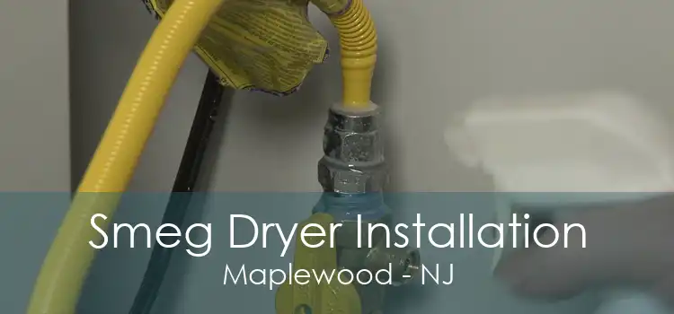 Smeg Dryer Installation Maplewood - NJ
