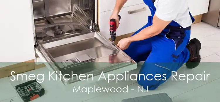 Smeg Kitchen Appliances Repair Maplewood - NJ