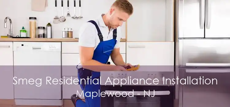Smeg Residential Appliance Installation Maplewood - NJ