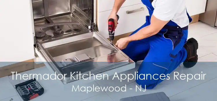 Thermador Kitchen Appliances Repair Maplewood - NJ