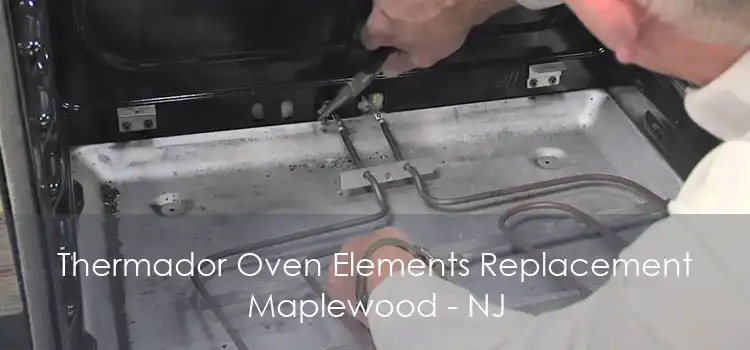 Thermador Oven Elements Replacement Maplewood - NJ