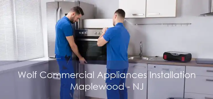 Wolf Commercial Appliances Installation Maplewood - NJ