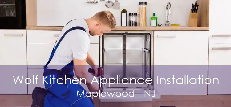 Wolf Kitchen Appliance Installation Maplewood - NJ