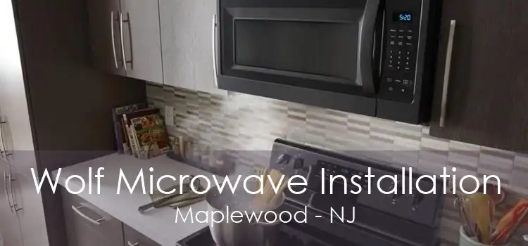 Wolf Microwave Installation Maplewood - NJ