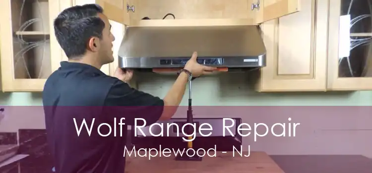 Wolf Range Repair Maplewood - NJ